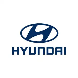 SG Mold partner - Hyundai-Korea